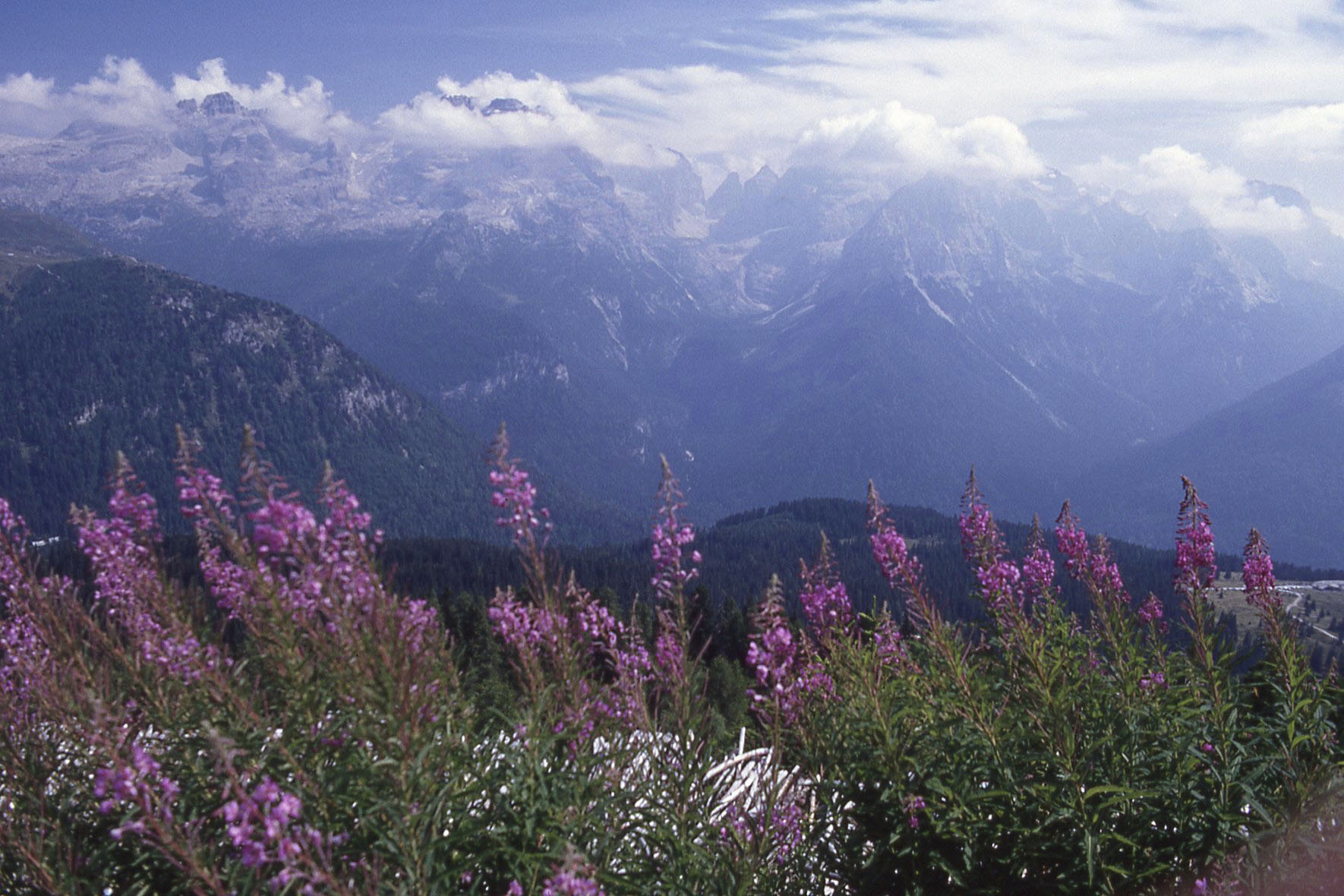 Val di Sole, agosto 1992.