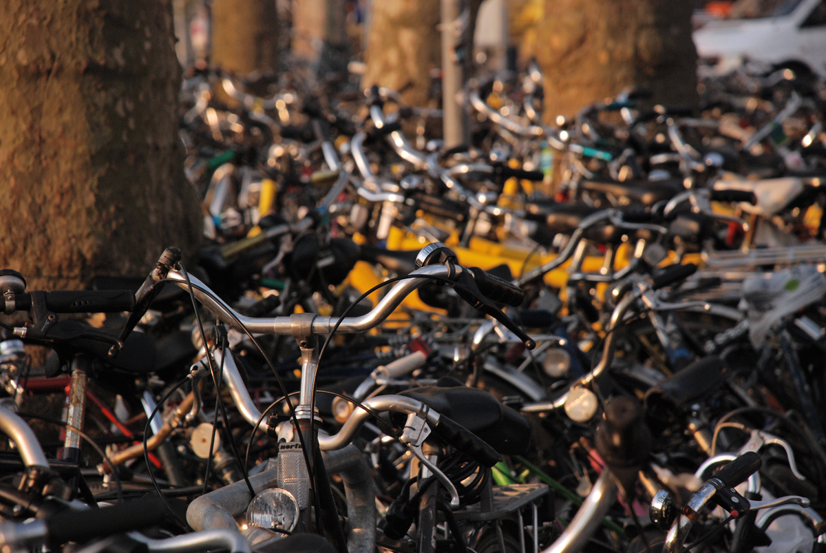 Parcheggio di biciclette, Gante, Olanda 2008