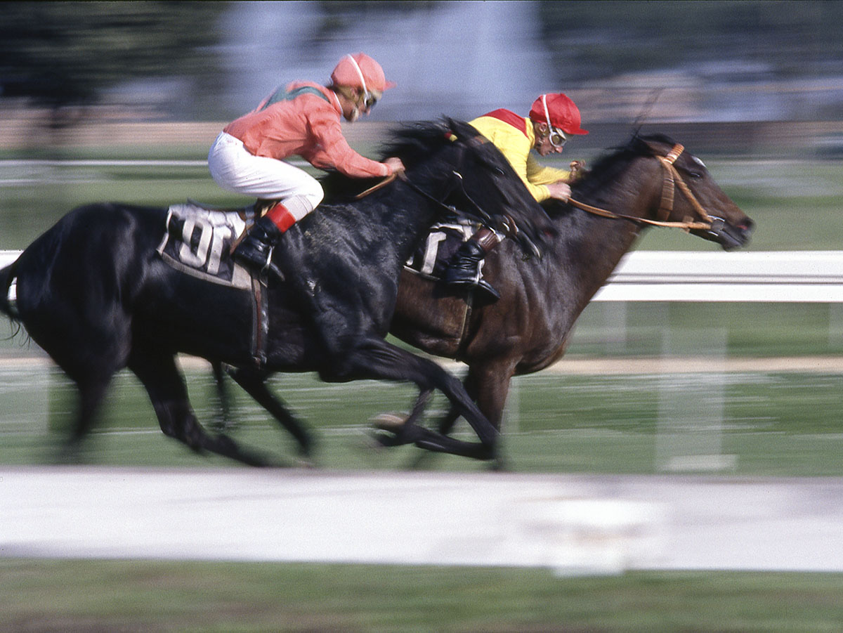 Cavalli in Gara, Ippodromo di Capannelle, Roma, maggio 1992.